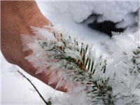 b0c402df-20170115 VV kristali.jpg